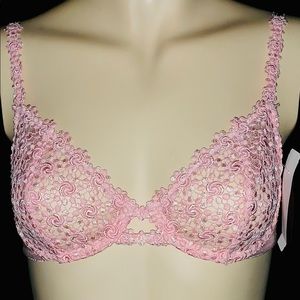 36C ✨Last One!✨ Felina Bra 🌟🌟🌟🌟🌟